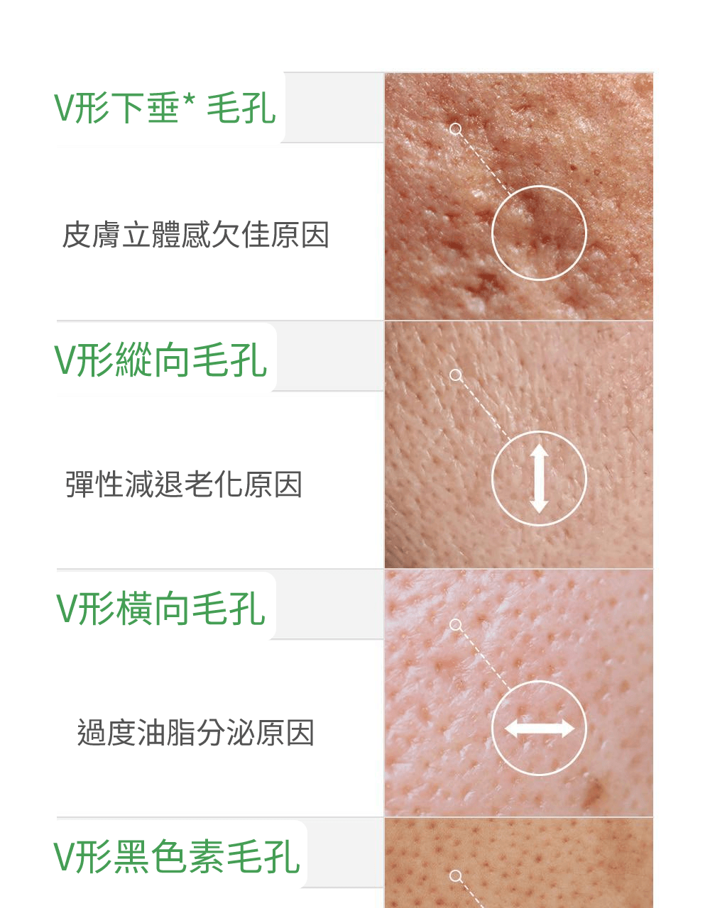Green Tomato NMN 毛孔緊緻安瓶 詳細介紹 5